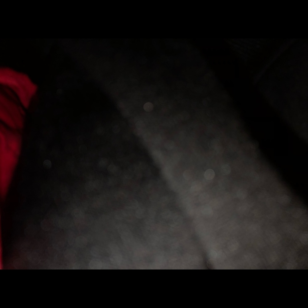 Lane Bryant pants - Picture 6 of 6